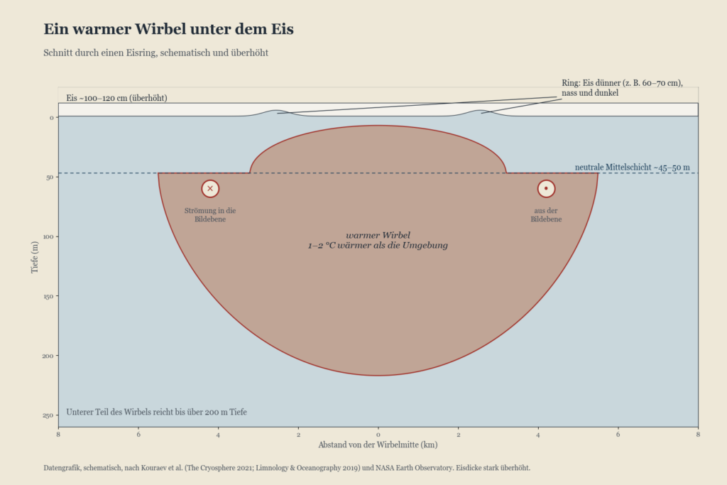 Schematischer Schnitt durch einen warmen Wirbel unter dem Eis, der das Eis am Rand von unten abschmilzt
