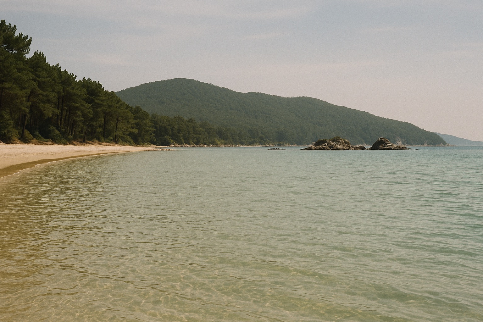 Flache, türkisfarbene Bucht über Sand mit Kiefernstrand und bewaldetem Bergrücken an einem Sommertag